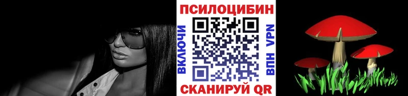 Псилоцибиновые грибы Psilocybe  купить  цена  Остров 